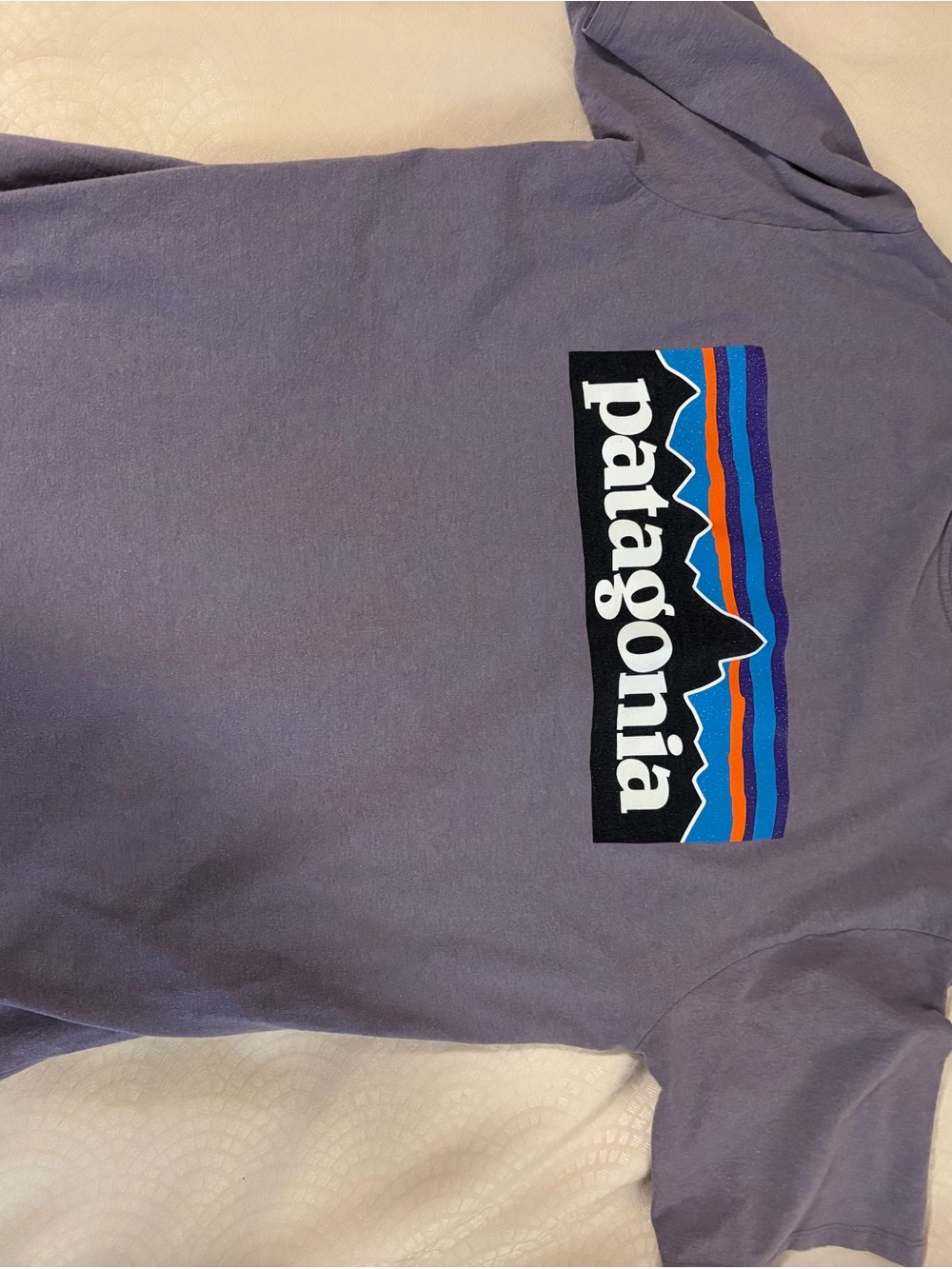 Patagonia Men’s Logo Tee - Lavender with Blue & Orange Accents